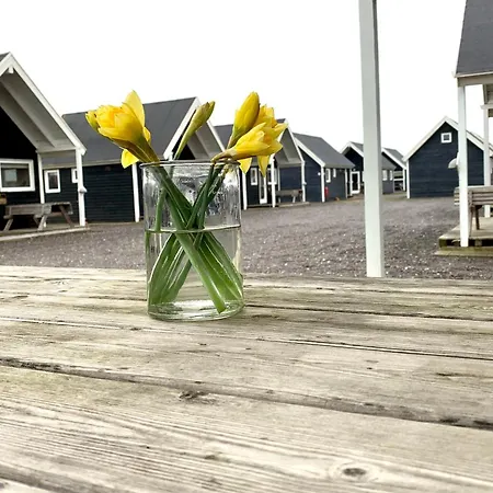 Campingplads Thyborøn Cottages 3*