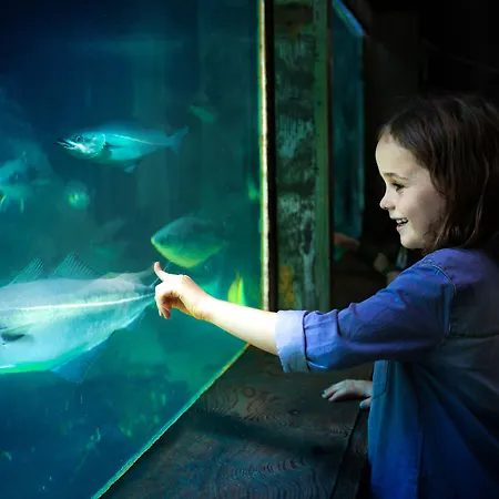 Thyboron Cottages 3*