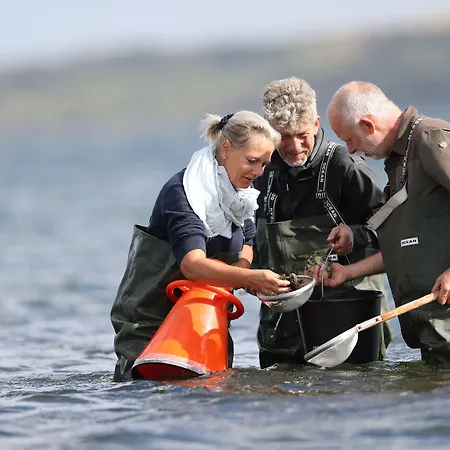 Thyboron Cottages Camping 3*